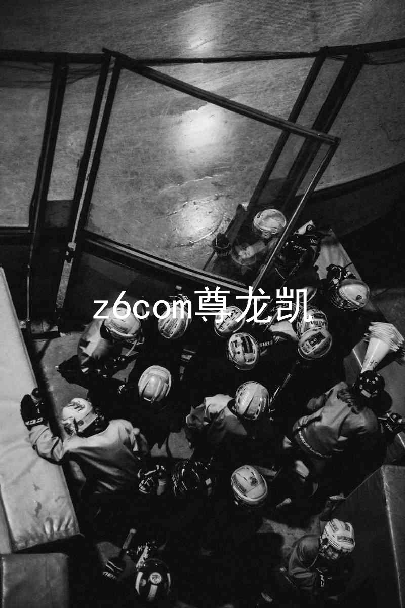 z6com尊龙凯