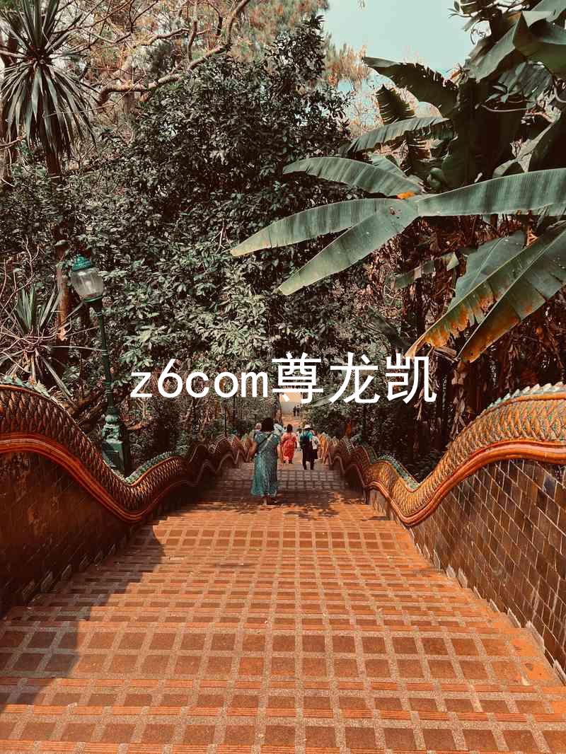 z6com尊龙凯
